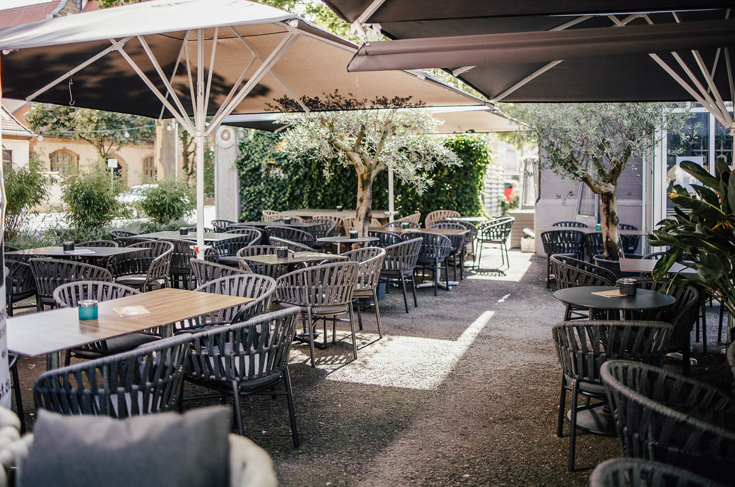 Die Terrasse mit Sonnenschirmen und Olivenbäumen